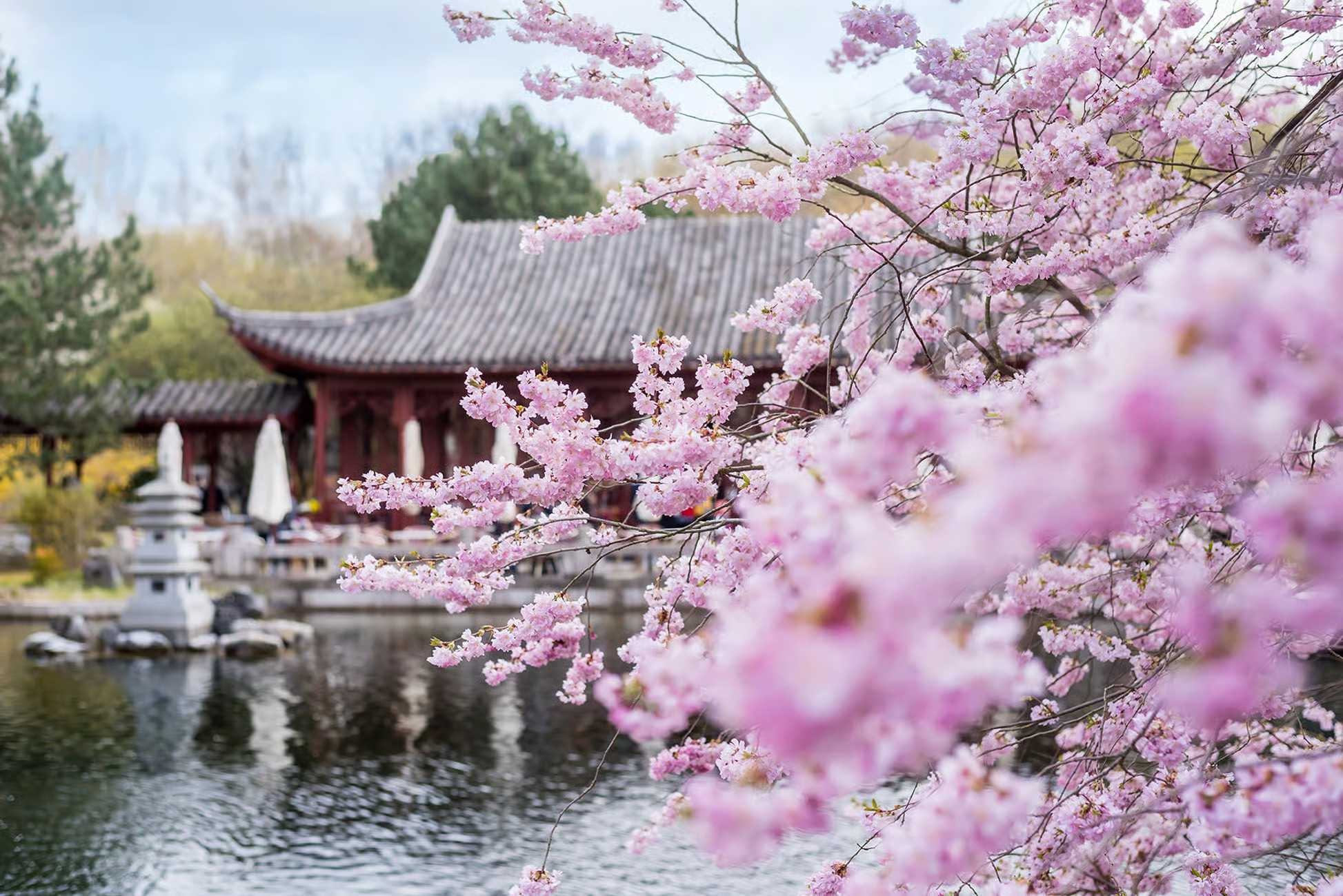 Niemcy – Berlin – Ogrody Świata