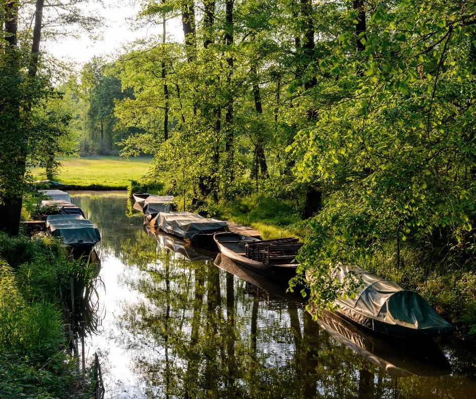 Niemcy – Spreewald- Niemiecka Wenecja