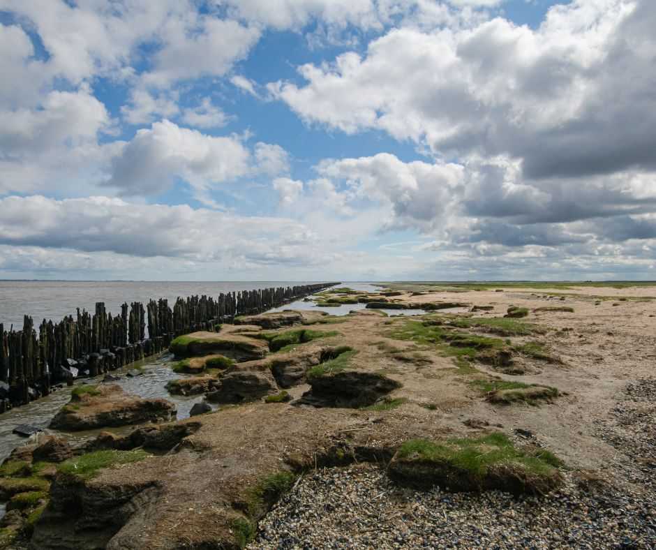 Niemcy – Brema, Bremerhaven i Morze Wattowe